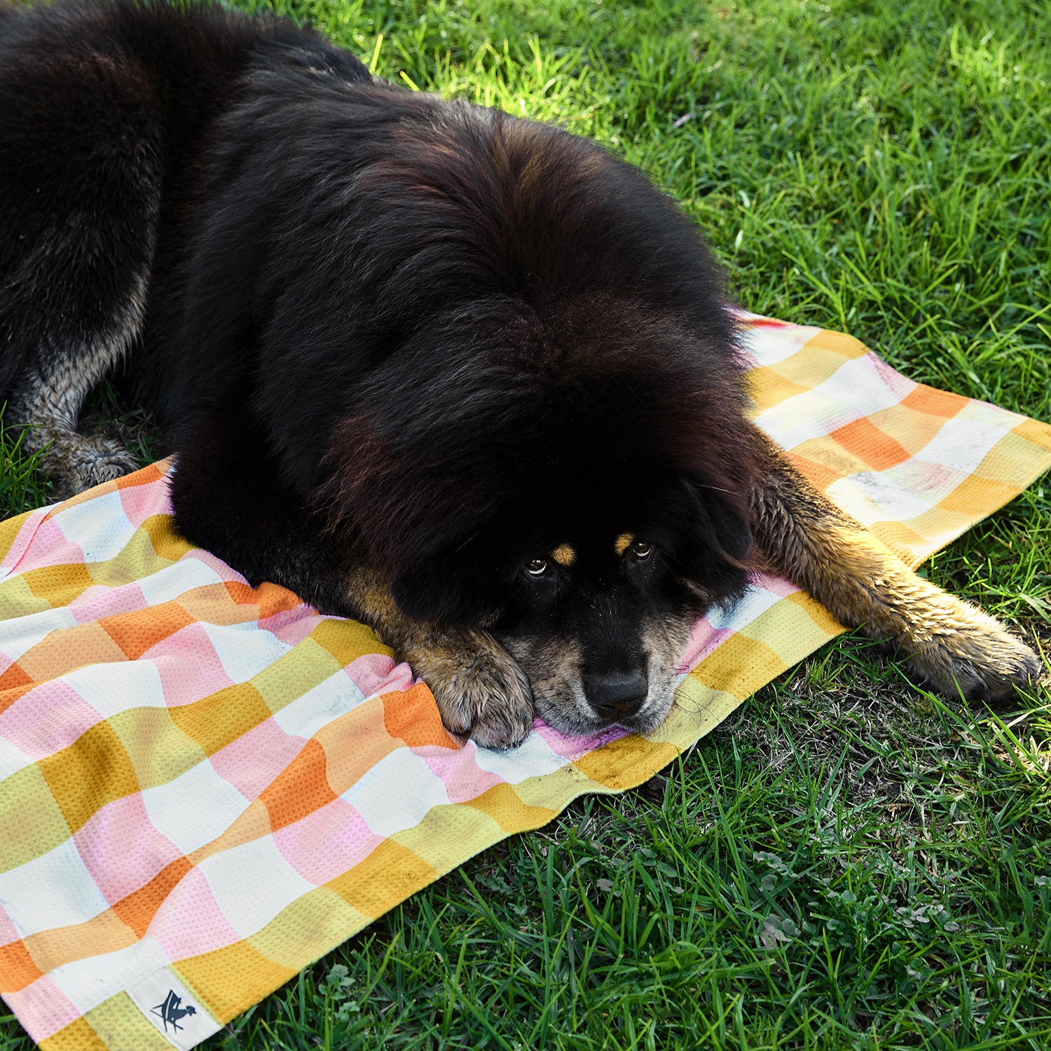 dock-bay-dog-towels-barking-plaid-hundehandtuch-set-4er-set-mit-pfotentaschen-qu image 4