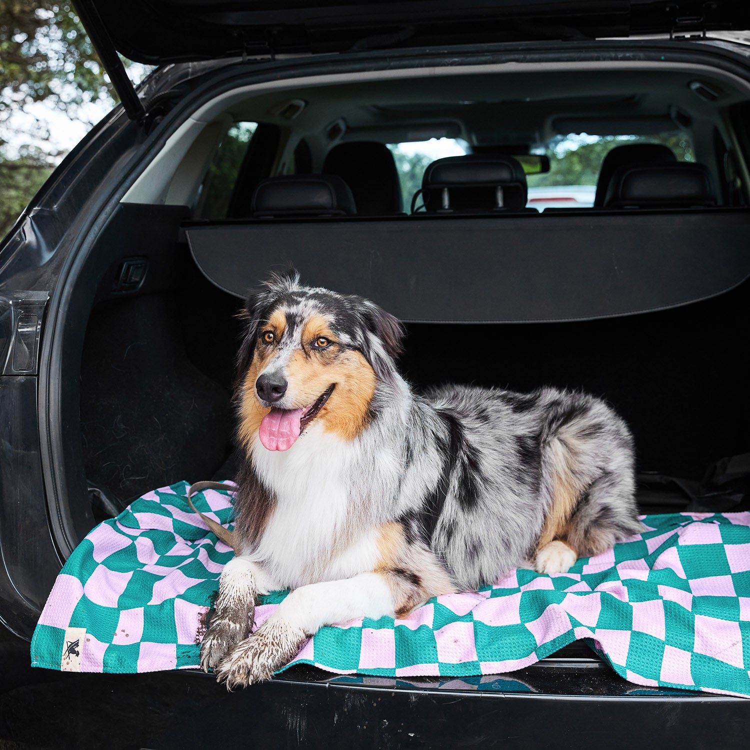 dock-bay-dog-towel-check-mutt-hundetuch-mit-dryq-waffle-und-handtaschen image 5