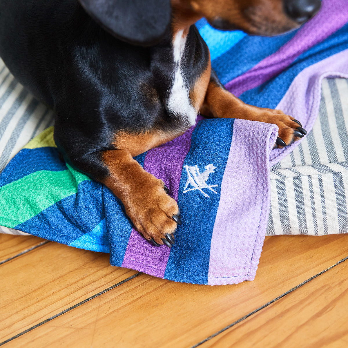 dock-bay-geschenkgutschein-f-r-hunde-haustierfreunde-e-mail-gutschein-ber-10-ein image 3
