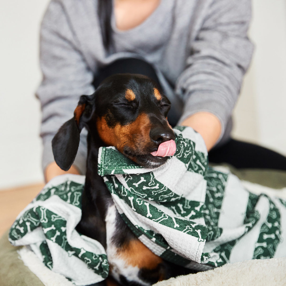 dock-bay-geschenkgutschein-f-r-hunde-haustierfreunde-e-mail-gutschein-ber-10-ein image 4